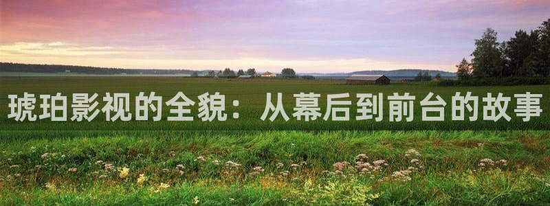 草草浮力影院最新地址：琥珀影视的全貌：从幕后到前台的故事