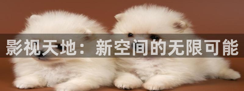 5177.tv浮力影院：影视天地：新空间的无限可能