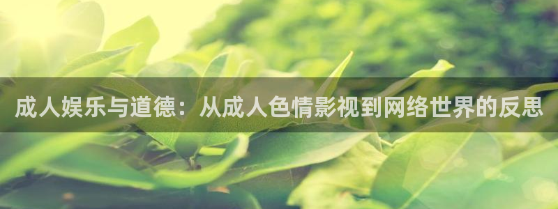 浮力影院首页：成人娱乐与道德：从成人色情影视到网络世界的反思