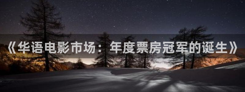欧美成人浮力影院：《华语电影市场：年度票房冠军的诞生》