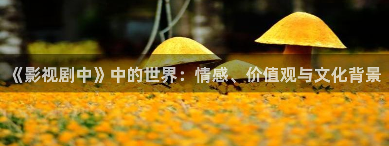 浮力影：《影视剧中》中的世界：情感、价值观与文化背景