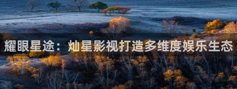 浮力欧美影院：耀眼星途：灿星影视打造多维度娱乐生态
